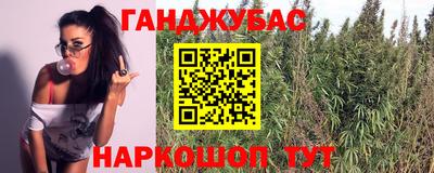гашик Керчь